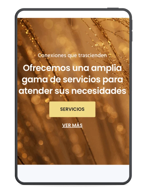 Sitio web corporativo para empresa del sector industrial